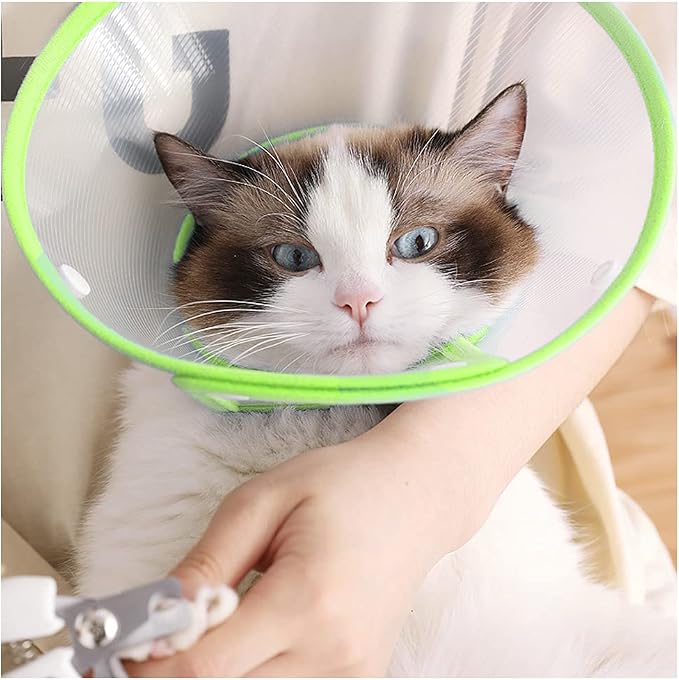 Pet Cone Recovery Dog Cone Adjustable Dog Collar Clear Padded Collar - Image 6