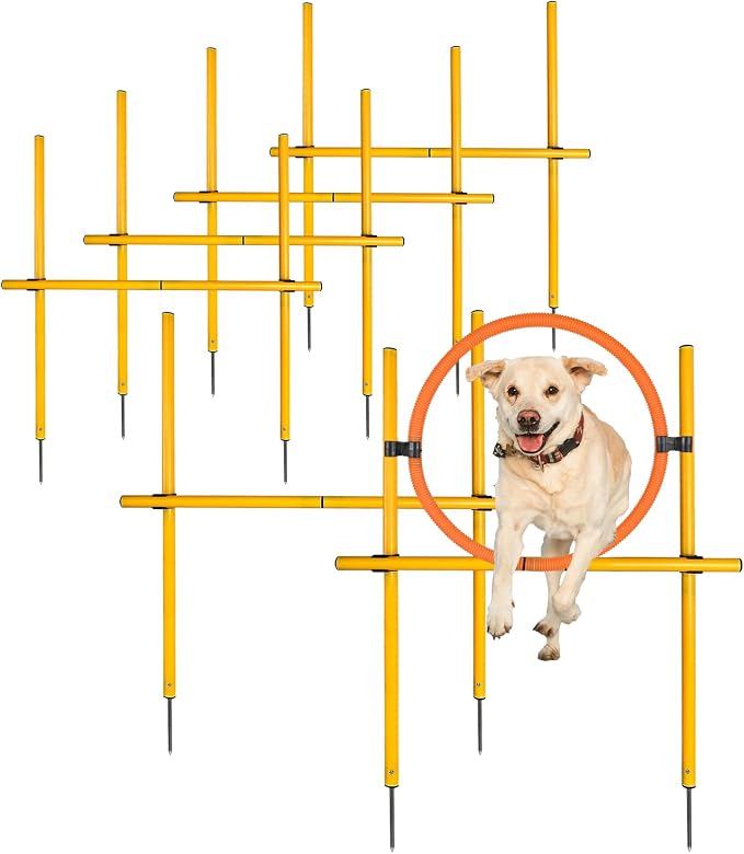 TNZMART 2.6 FT Dog Agility Obstacle Course Backyard Set by TNZMART