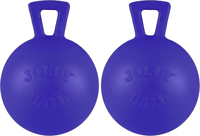 Jolly Pets Tug-n-Toss Heavy Duty Dog Toy Ball by JollyPets