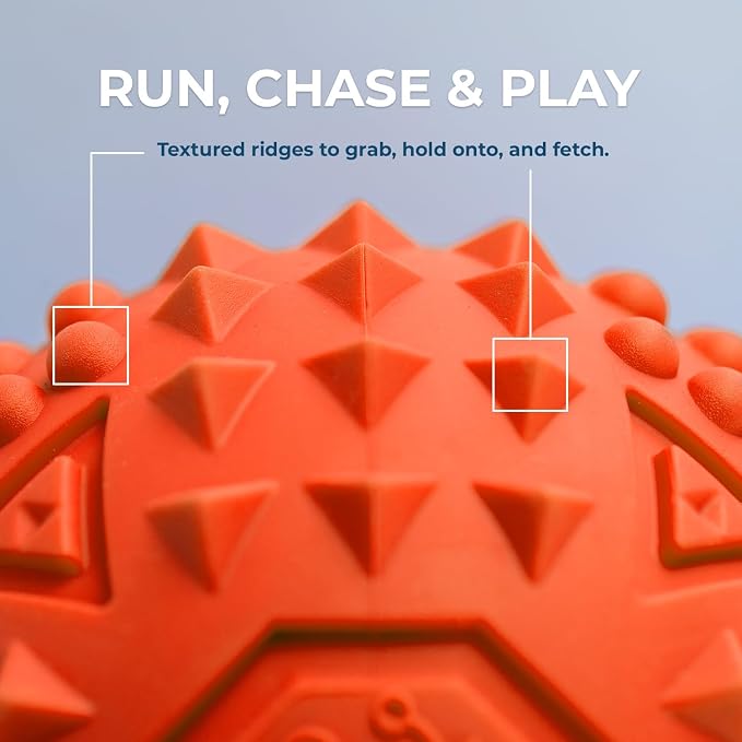 Best Pet Supplies Interactive Squeaky Dog Chew Toy, Ideal Dog Toys - Image 4