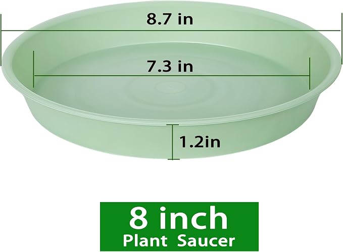 6 Pack of 8 inch Plant Saucer Blue, Plastic Plant Water Tray 8 inch Round - Image 2