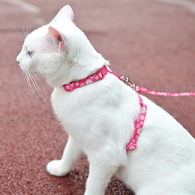 KOOLTAIL Cat Harness and Leash Set, Escape Proof Adjustable Kitten Harness - Image 6