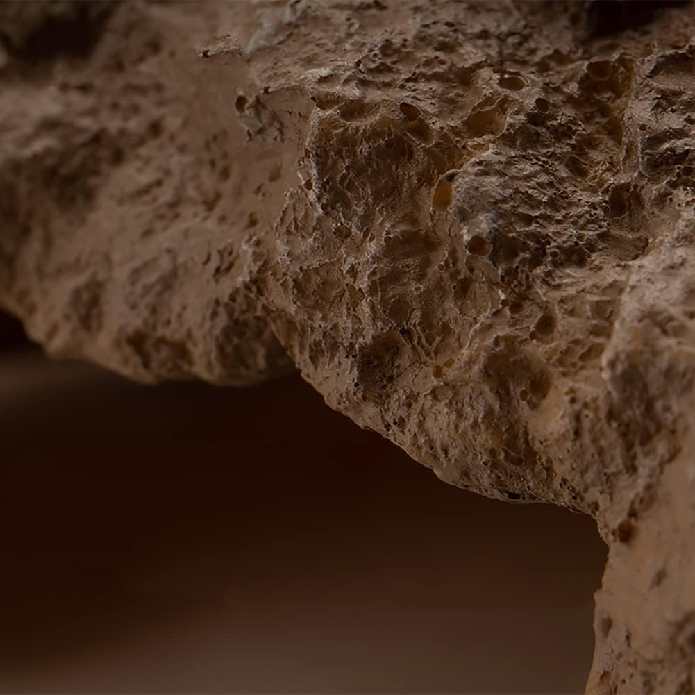 Medium Bearded Dragon Reptile Hide Cave - GlobalHabitat Supply