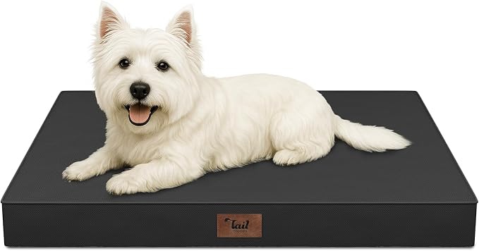Outdoor Dog Bed for Small Dogs & Cats, Waterproof Dog Crate Mat Orthopedic Egg by TailStories