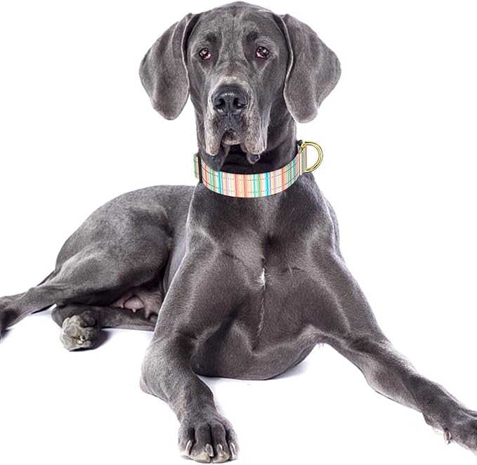 Reflective Dog Collar, Cute Dog Collar - Image 2