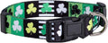Native Pup St Patricks Dog Collar- Saint Patrick Green Shamrock Pet Collars- by NativePup
