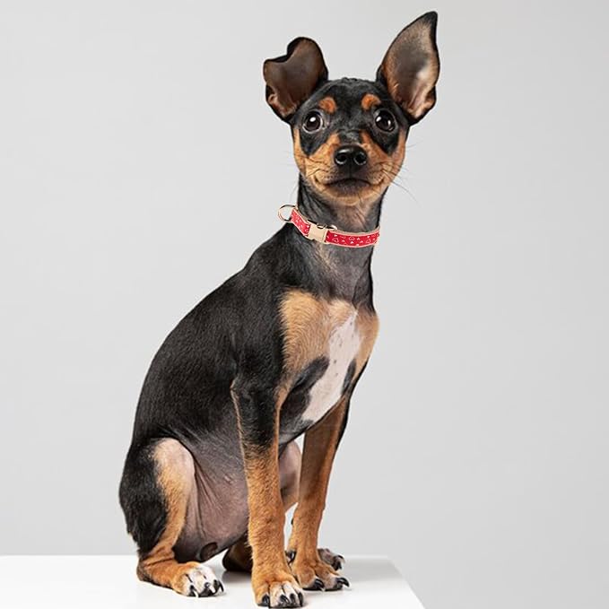 Woven Dog Collar with Metal Buckle Adjustable Jacquard Retro Dog Collars - Image 5