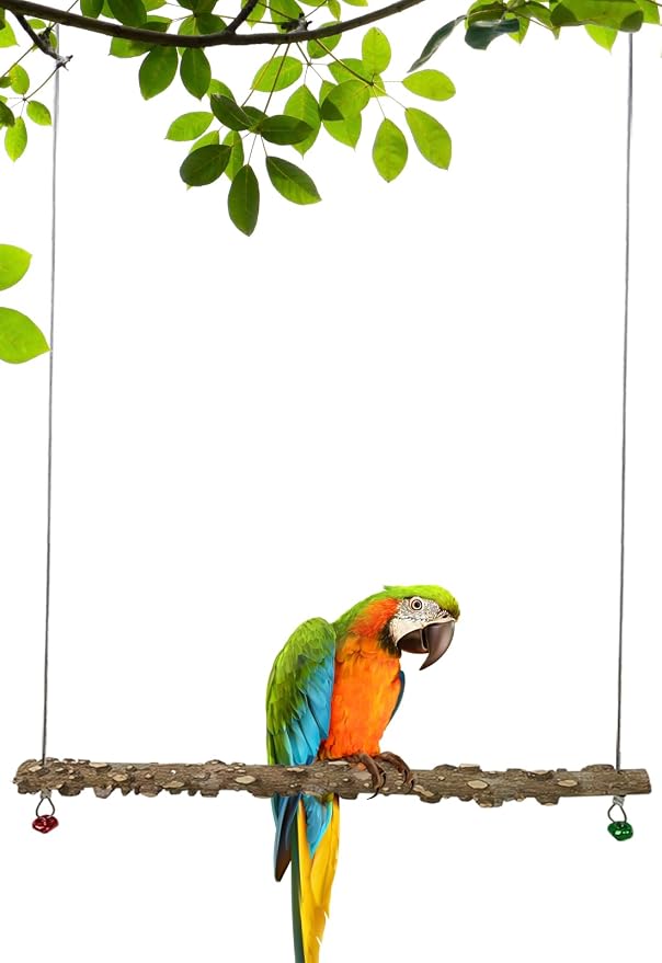 FlidRunest Bird Parrot Swing Toy, Natural Pepper Wood Bird Perch Stand - Image 2