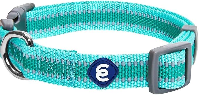 Blueberry Pet Essentials Matching Large Dog Collar | Adjustable Classic Solid by BlueberryPet