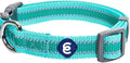 Blueberry Pet Essentials Matching Large Dog Collar | Adjustable Classic Solid by BlueberryPet