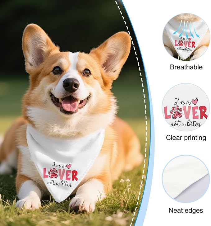 I'm a Lover Not A Biter Funny Dog Bandana, Cute Valentine's Day Dog Bandana - Image 3