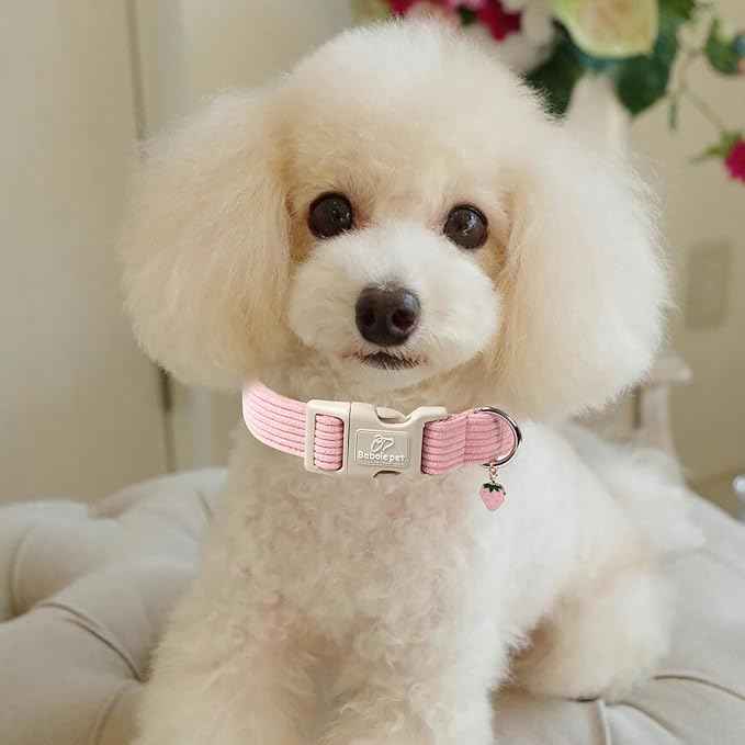 Cute Corduroy Dog Collar