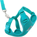 RC Pets Adventure Kitty Cat Harness | Adjustable Airmesh Vest by RCPets