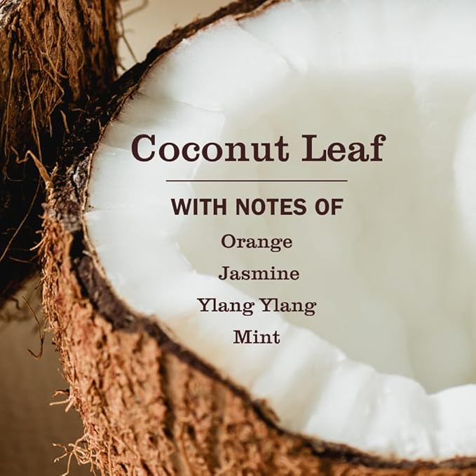 MRS. MEYER'S CLEAN DAY Pet Odor Neutralizer, Coconut Leaf Scent - Image 3