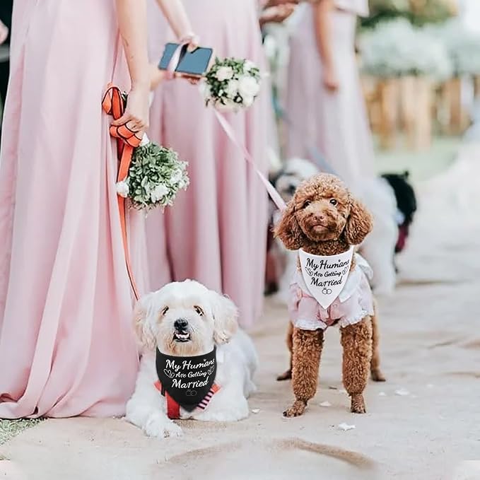 SZEE 2 Pack My Humans are Getting Married Dog Bandanas, Wedding or Engagement - Image 5
