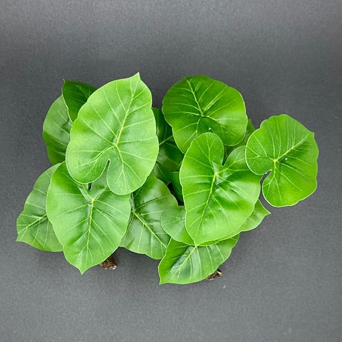Smoothedo-Pets Fish Tank Decor Aquarium Decorations Ornaments Betta Leaf pad - Image 5