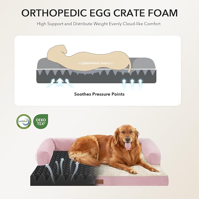 Orthopedic Dog Beds for Large Sized Dogs, Waterproof Egg Crate Foam Medium Dog - Image 2