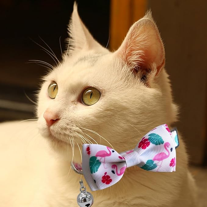 3 Pack Hawaiian Breakaway Cat Collar - Image 6