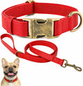 Silicone Dog Collar and Leash Set, Waterproof & Odor-Proof Puppy Collar by Ben+%26+Fellows