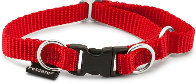 PetSafe KeepSafe Collar for Dogs by PetSafe