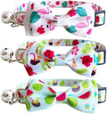 3 Pack Hawaiian Breakaway Cat Collar by Diaurbsie