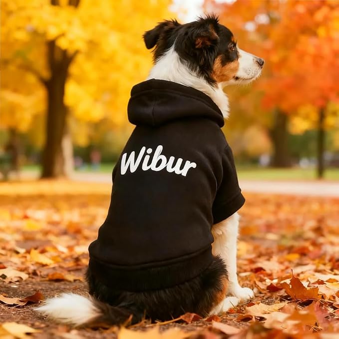 GODMERCH Custom Name Embroidered Dog Hoodie, Embroidery Dog Sweaters - Image 3