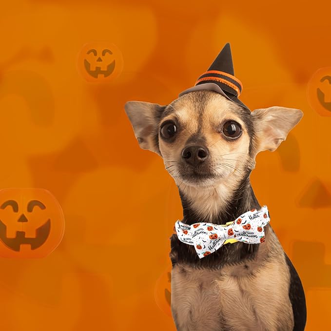 Halloween Dog Collar, Pet Collar Bow Pumpkin Pet Collar Girl Boy Holiday - Image 5