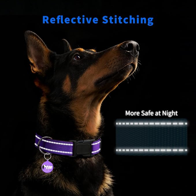 Reflective Dog Collar for Medium Dogs - Image 3
