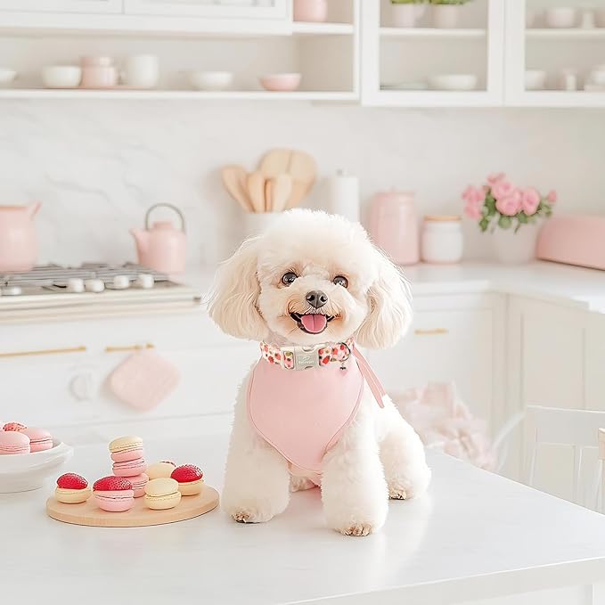 Strawberry Dog Collar for Medium Dogs - Image 5