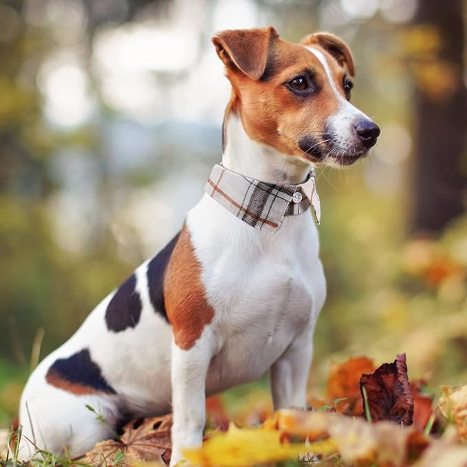 Faleela Cotton Plaid Shirt Style Dog Collar Soft Cute, Boy Dog Collar - Image 4