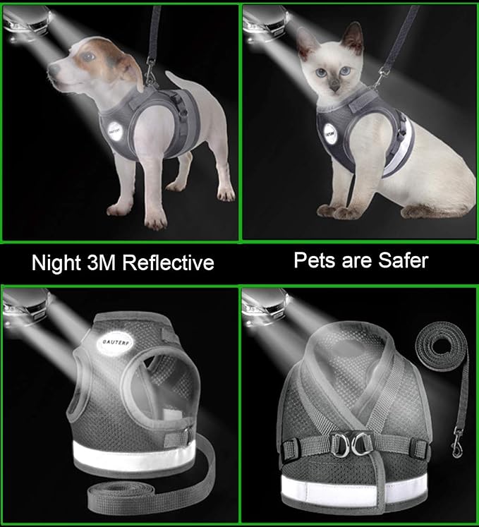 Cat Harnesses and Puppy Harness - Image 5