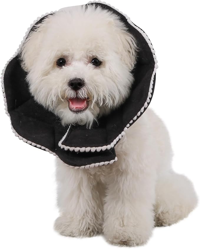 Adjustable Small Dog Cone, Soft Cat Recovery Cone Collar, Cute Cat Surgery by WZPET