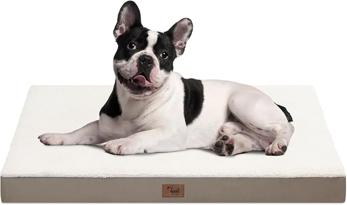 Plush Orthopedic Dog Bed for Medium Dogs & Puppies, Waterproof Dog Beds 30x20 by TailStories
