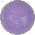 Jolly Pets Bounce-n-Play Dog Toy Ball, 6 Inches/Medium, Light Purple by JollyPets