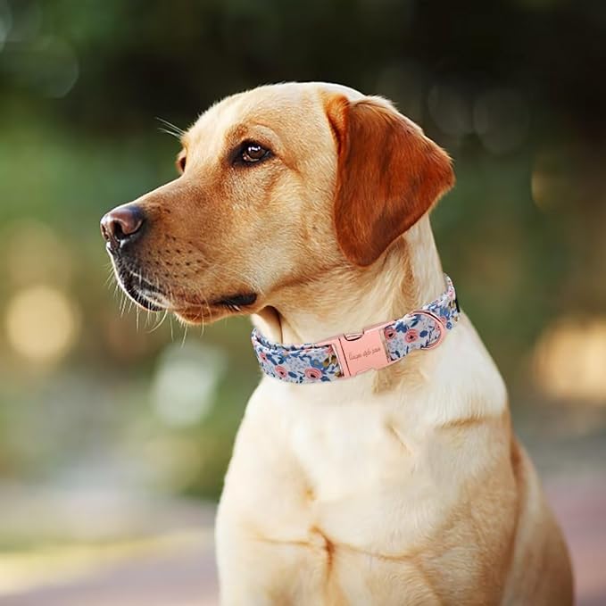 Unique Style Paws Dog Collar - Image 3