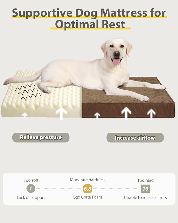 Orthopedic Dog Beds for Extra Large Dogs Waterproof - Image 2