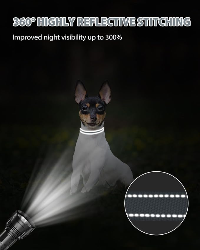 Joytale Small Dog Collar, Reflective and Adjustable Nylon Collar - Image 5