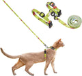 pidan Cat Harness and Leash Set, Cats Escape Proof by pidan