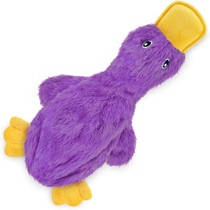Best Pet Supplies Interactive Squeaky Dog Chew Toy, Ideal Dog Toys - Image 3