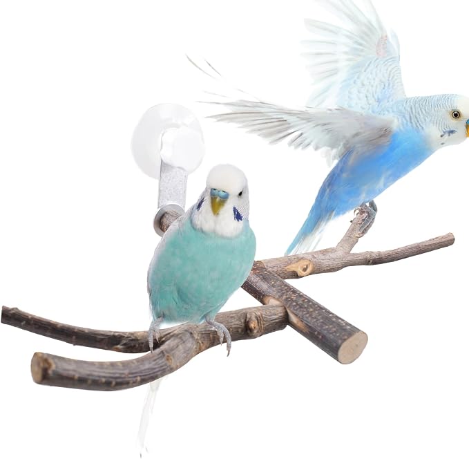 Bird Perch with Suction Cup Window Wall Bath Car Outdoor Travel Perch Stand by JINGHANGER