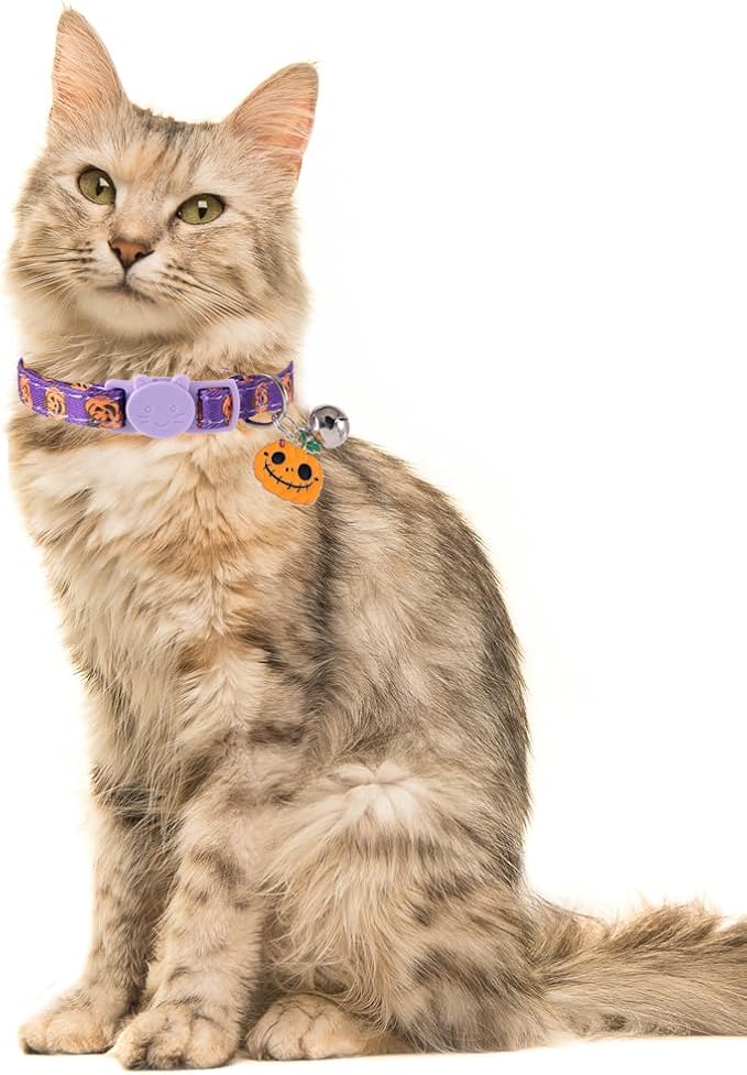 3 Pack Halloween Cat Collar - Image 4