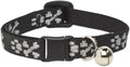 LupinePet Originals 1/2" Bling Bonz Cat Safety Collar by LupinePet