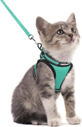 rabbitgoo Cat Harness and Leash Set by rabbitgoo
