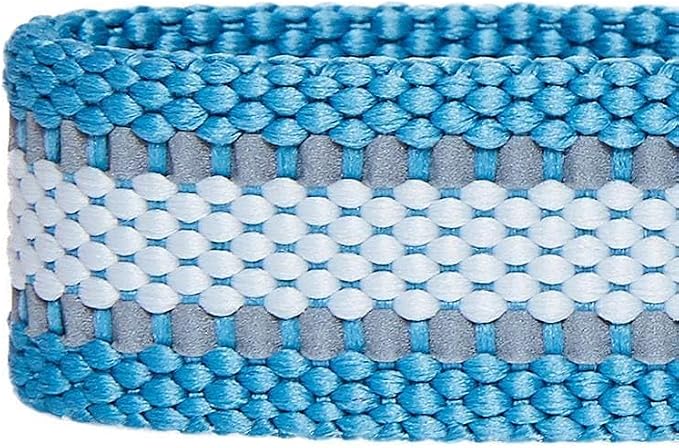 Blueberry Pet Essentials Matching Large Dog Collar | Adjustable Classic Solid - Image 7