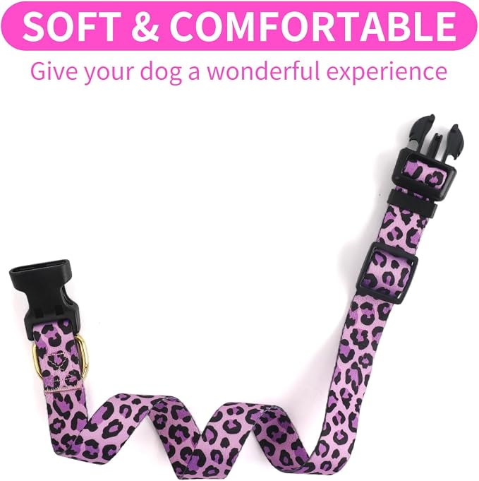 QQPETS Adjustable Soft Dog Collar: Print Flower Pink Multicolor Cute Patterns - Image 4