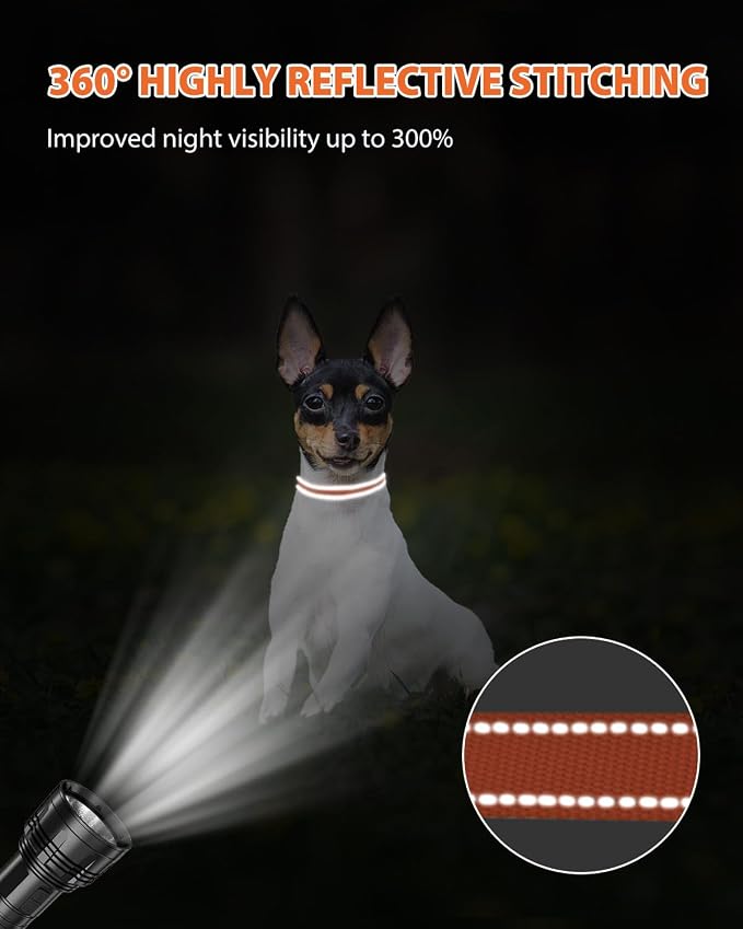Joytale Small Dog Collar, Reflective and Adjustable Nylon Collar - Image 5