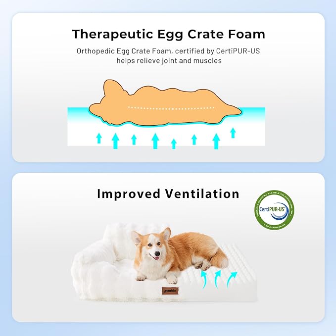 Orthopedic Cat Couch Bed for Indoor Cats, Cute Pet Sofa - Image 5