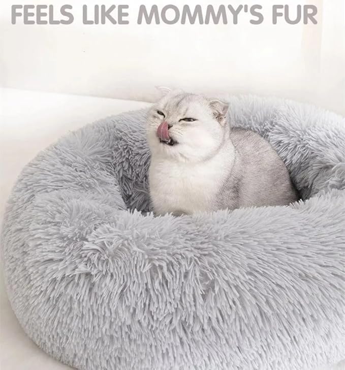 Cat Beds for Indoor Cats - Image 3