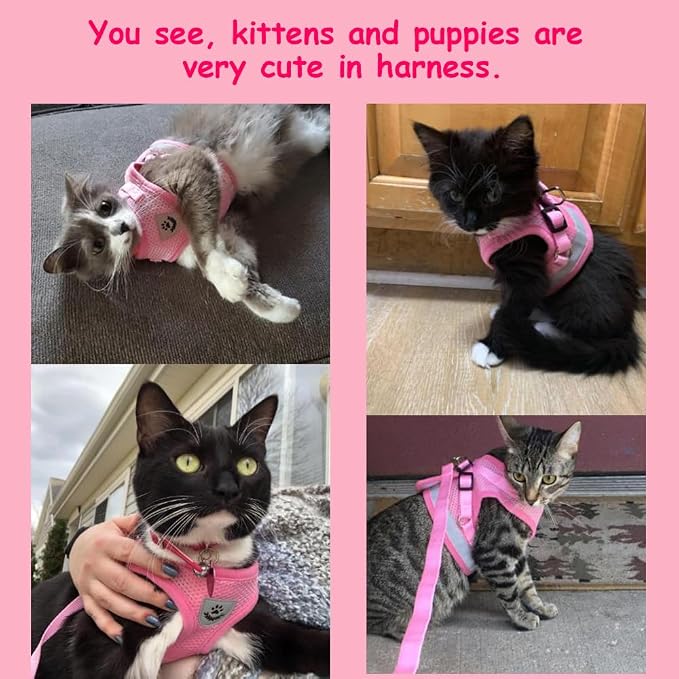 Cat Harnesses and Puppy Harness - Image 3