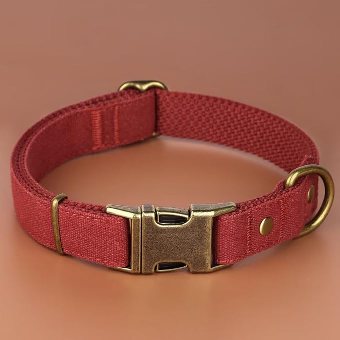 PET ARTIST Dog Collars for Small Dogs, Soft Padded Premium Nylon Dog Collar - Image 3